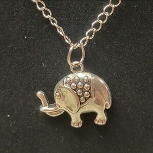 Silver Chain and Silver Elephant Charm Necklace